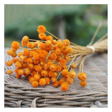 (Orange) Flowers 50 Stems Dried Flowers for Arrangements Bundle Home Decor Photo Props Handmade Air-drying