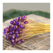 (Purple) Flowers 50 Stems Dried Flowers for Arrangements Bundle Home Decor Photo Props Handmade Air-drying
