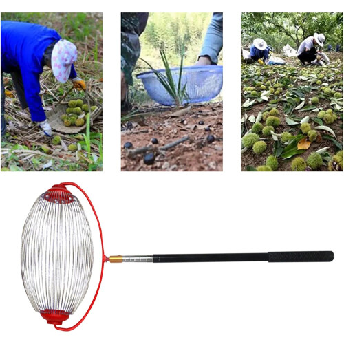 Adjustable Nut Gatherer With Ergonomic Handle, MultiPurpose Acorn Picker For Pinecones And Nuts Large 2