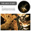 Iron Giraffe String Lights 1set For Party 300x10cm 10
