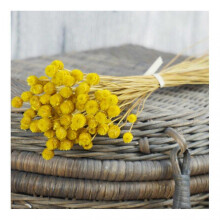 (Yellow) Flowers 50 Stems Dried Flowers for Arrangements Bundle Home Decor Photo Props Handmade Air-drying