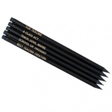 (Teacher) Profession Pencil Set with Eraser Reusable Erasable Writing Pencil Practical Gifts For Students Teachers