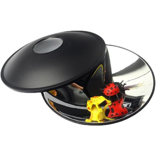 Holographic Projector For Young Learners Yellow Frog Theme Educational Interactive Science Learning Device 1