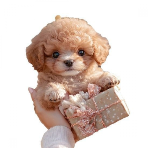 Ηλεκτρονικό παιχνίδι σκυλάκι - διαδραστικό λούτρινο κουτάβι που περπατάε 1
