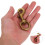 2 coleiras pets c/ fivela metálica, giratório e (bronze) 4