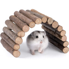 Jouet créatif pour petits animaux, peluche pour cochon d'Inde, plateforme de jeu en bois adaptable pour rats favorisant une bonne hygiène dentaire.
