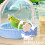 Ventilated Parrots Cage For Travel With Secure Locking-Yellow 5