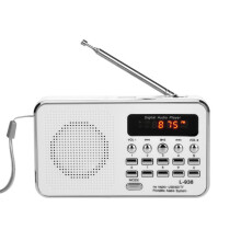 Tilpasset harmoni: En radioafspiller skræddersyet til dine musikalske præferencer, med Gurbani-essentielle ting til spirituel næring, bærbart