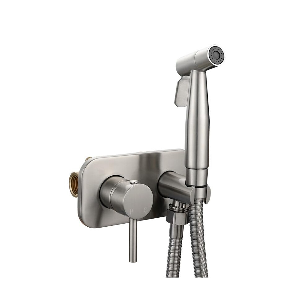 Handheld Bidet Sprayer Multifunctional Spray Gun Hot And Cold Water Brushed Silver Single Mode For Toilet And Bathroom 9323874160764