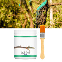 Kalk-Wundversiegelungspaste 250g für Baumschnitt im Garten und Wundheilung in Australien