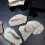 1St Decoratief Vis Fossiel Model Voor En Versiering 6