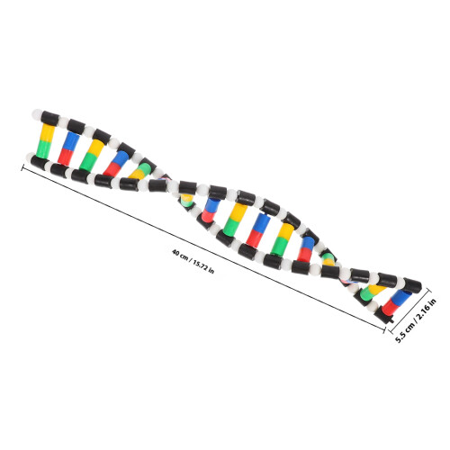 Dna Doppia Colorato Per E Studio 1