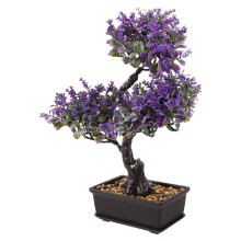 Färgglad -Bonsai I Kruka Praktisk Lättskött