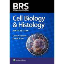 BRS Cell Biology amp Histology by Lee Lisa M.J. PhD Paperback Book