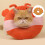 Elizabethan Collar Pet Post Surgical Wound Protections-M 2 2
