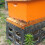 Solid Wood 10 Frame Hives Pull Out Bottom For-ten frames 4