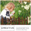 1Garden Edging Border Afwerking Voor Tuindecoratie 8