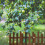 1Garden Edging Border Afwerking Voor Tuindecoratie 5