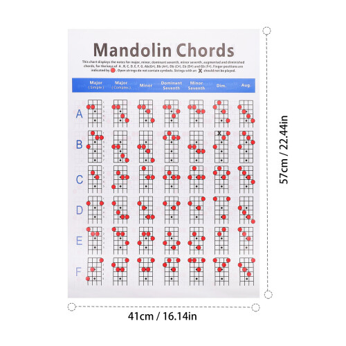 1St Mandoline Tabelle Griffbrett Noten Zubehör 1