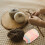 1 Rol Breigeluid Soepele Weefdraad Diy Pop Gevlochten 8