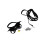 Turtle Wing Design Riempje Schildpad Reptiel 10
