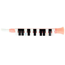 Melodica Instrument Voor Kinderen En Beginners, 13 Toetsen