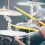 2 Pares Tambor Madera Arce Percusión 4