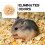 De De Madera Para Hamster Y Pequeños 7