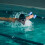2 Unidades De , Mancuernas Resistentes Para Piscina 10