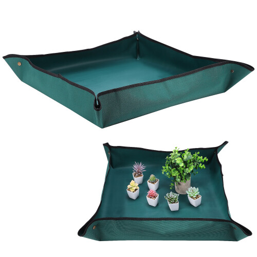 De Rempotage Pour Plantes Intérieur Jardinage 1