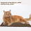 1Kat Krabmat Krabkleed Sisal Sofa Pad Bruin 11