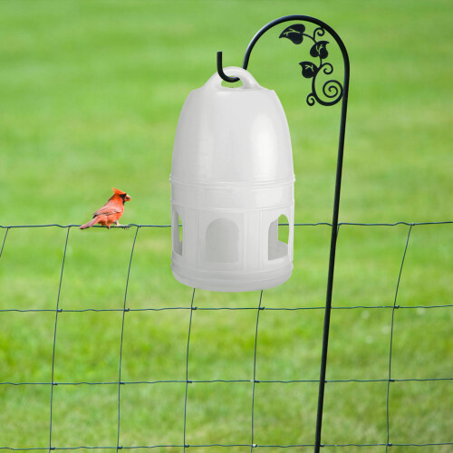 Bevitore 5L In Per Uccelli E Animali Domestici 2