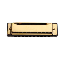 Harmonica Professionale Elegante Per Principianti (Oro)