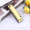 Harmonica Professionale Elegante Per Principianti (Oro) 6