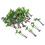 36 Pezzi Albero Cocco In Per Micropaesaggio E 10