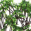 36 Pezzi Albero Cocco In Per Micropaesaggio E 7