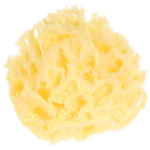 Sponge Do Kąpieli Dla Dzieci Plaża Pszczoła Delikatna Gąbka