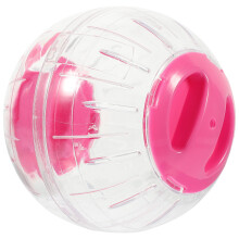 Trasparente Per Esercizio Criceto Mini In Rosa