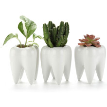 Vaso a forma di dente, mini in ceramica bianca, organizer da ufficio, regalo creativo, regalo per dentisti, ceramica traspirante con cromatura a