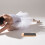 Wooden Dance Turn Board Per E Pattinaggio Allenamento A Casa 3