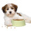 3Pcs Médio Plástico Cachorro 8