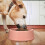 3Pcs Médio Plástico Cachorro 7