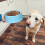 3Pcs Médio Plástico Cachorro 10