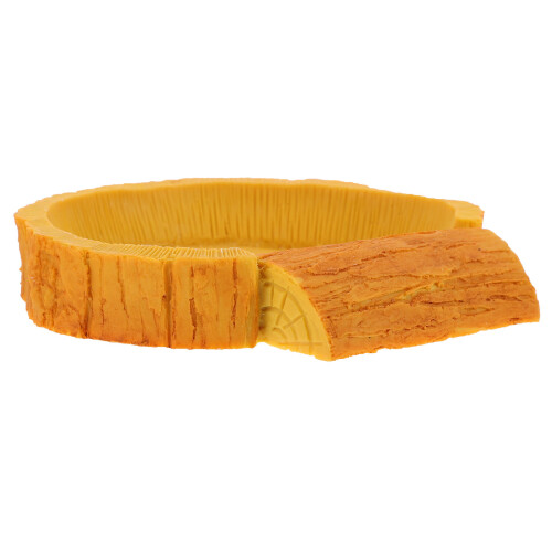 Reptile Resina Contenitore Idrico