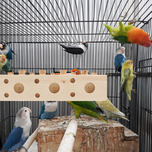 Brinquedo De Para Pássaros Pequenos Com Poleiro E Mastigação 2