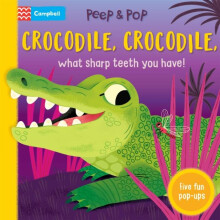 Crocodile Crocodile What Sharp Teeth You Have by Campbell Books Other