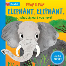 Elephant Elephant What Big Ears You Have by Campbell Books Other Book