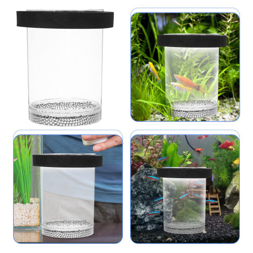 Broedbox Aquarium Transparant Veilige Kweekhouder 2