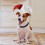 1 Chapéu De Palhaço Para Halloween Pets 9