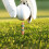 5 Pcs Biquíni Plástico Golfe Tee Pequenas Mulheres 10